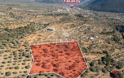 Datça Cumalı Da Yatırımlık 8.439m2 Satılık Arsa