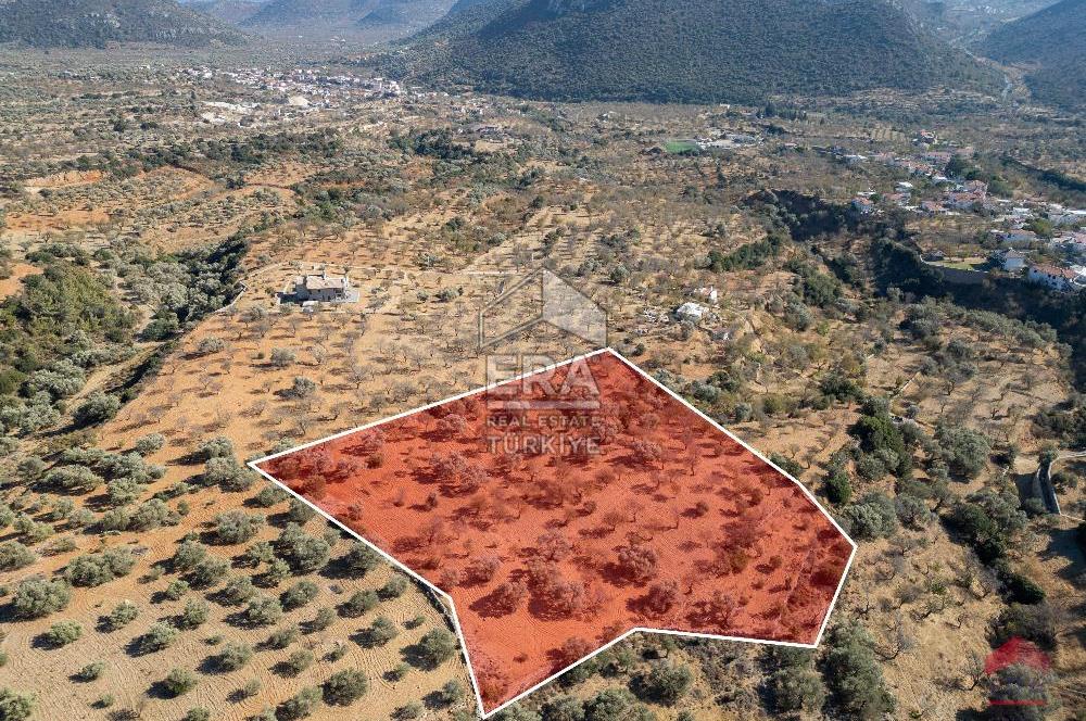 Datça Cumalı Da Yatırımlık 8.439m2 Satılık Arsa