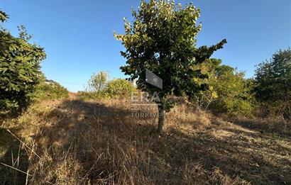 ERA SÖZDEN ÇANAKKALE BİGA HAMDİBEY MH SATILIK ARSA