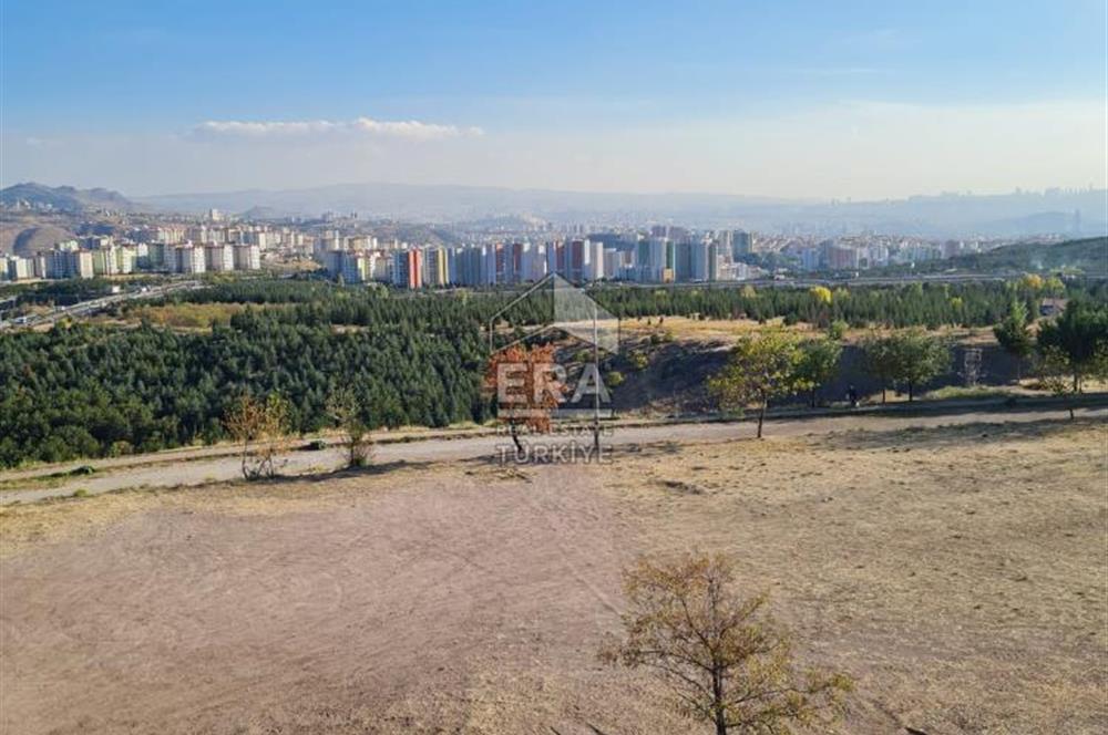 PURSAKLAR   AYYILDIZ  EŞYALI MANZARALI GUNEY CEPHE ORTA KAT KİRALIK  DAIRE