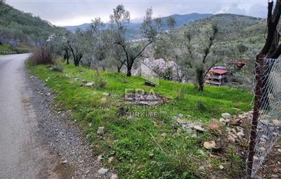 BALIKESİR EDREMİT'TE SATILIK ARSA VE BAĞ EVİ