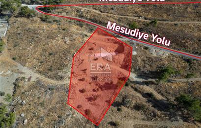 Datça Mesudiye'de Yatırım Değeri Yüksek 3.375m² Satılık Tarla