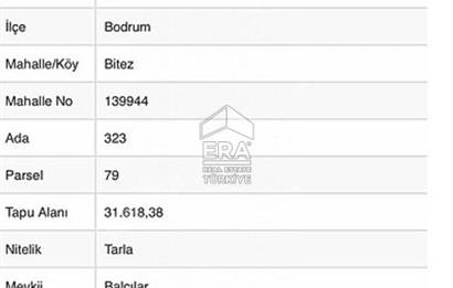 Bodrum Bitez 31.600 M2 İçinde 184 M2 Hisse Payı 