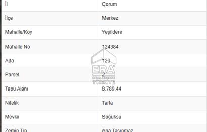 ÇORUM MERKEZ'E YAKIN 19,300 M2 SATILIK MÜSTAKİL TAPULU TARLA