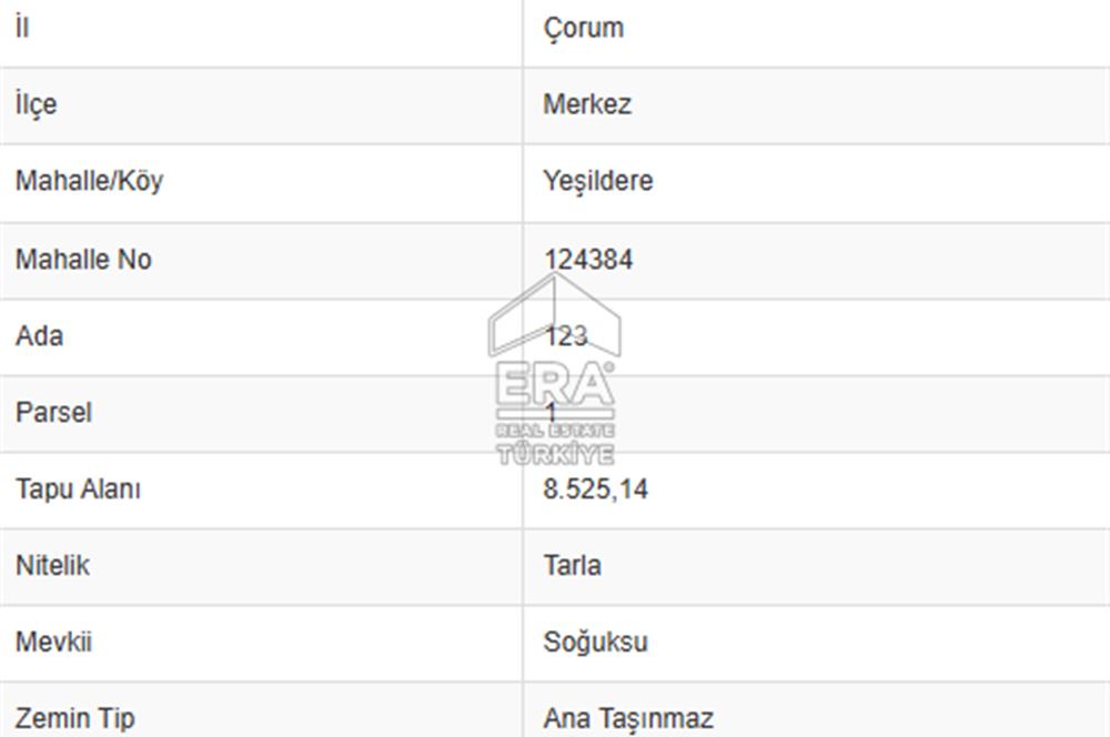 ÇORUM MERKEZ'E YAKIN 19,300 M2 SATILIK MÜSTAKİL TAPULU TARLA