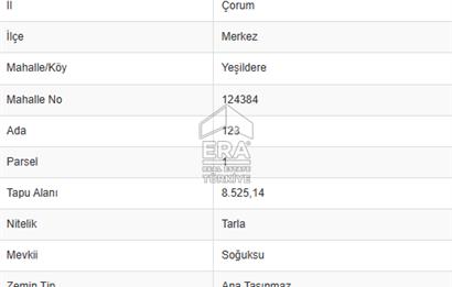 ÇORUM MERKEZ'E YAKIN 19,300 M2 SATILIK MÜSTAKİL TAPULU TARLA