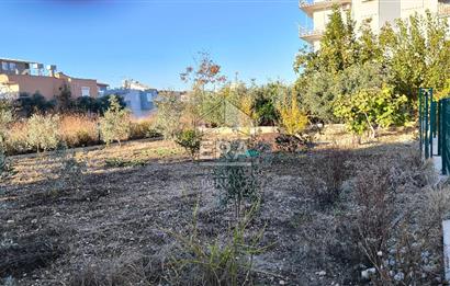 Manavgat Gültepe Mahallesin'de 483M2Satılık Arazi 