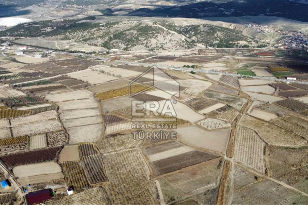 ERA FLY'DAN PAMUKKALE YOLUNDA SATILIK NAR BAHÇESİ