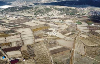 ERA FLY'DAN PAMUKKALE YOLUNDA SATILIK NAR BAHÇESİ