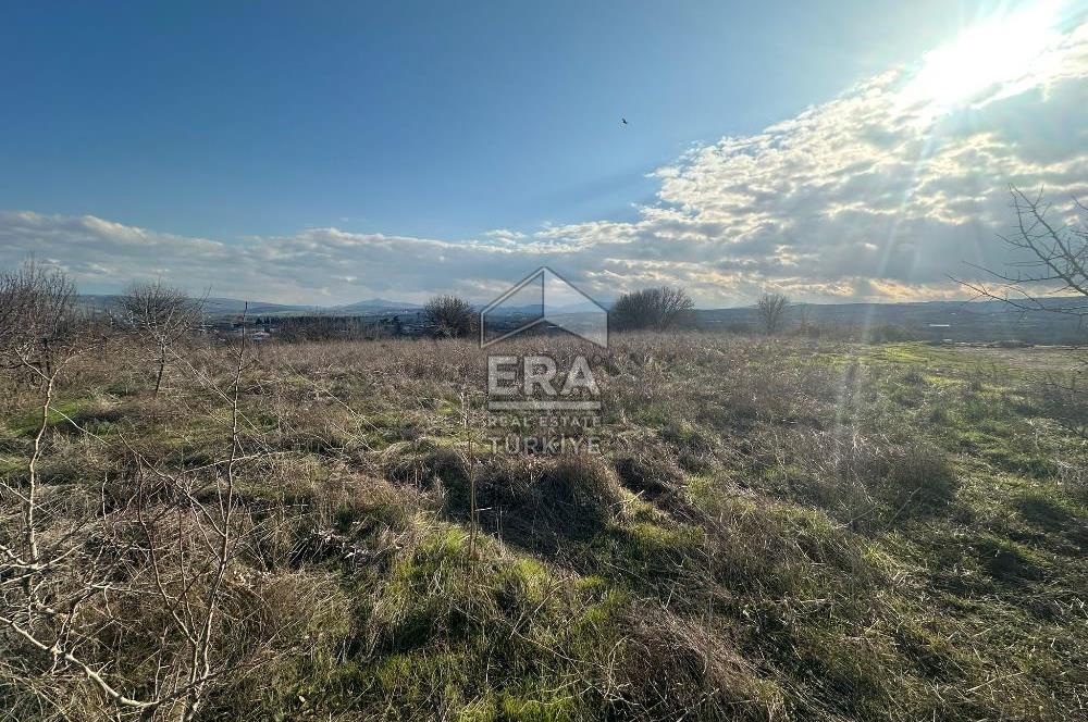 ERA PORT GÜVENCESİYLE BALIKESİR PAMUKÇU'DA 2811 m² TARLA