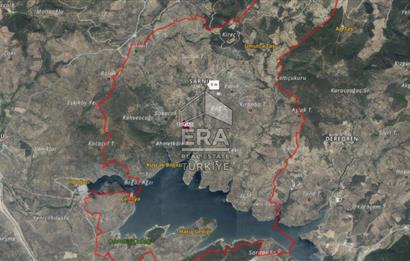 ERA PORT GÜVENCESİYLE HAVRAN SARNIÇ 5224m² ZEYTİNLİK