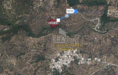 ERA PORT GÜVENCESİYLE EDREMİT GÜRE 3304 m² ZEYTİNLİK