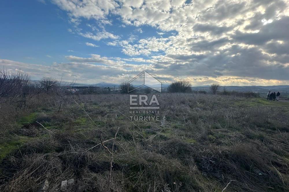 ERA PORT GÜVENCESİYLE BALIKESİR PAMUKÇU'DA 2811 m² TARLA