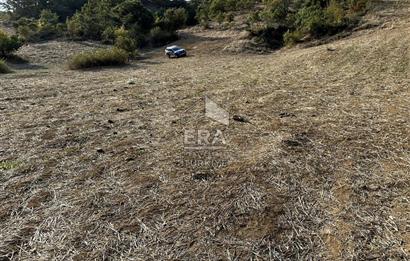 Balıkesir Bigadiç’te Yatırımlık Tarla 