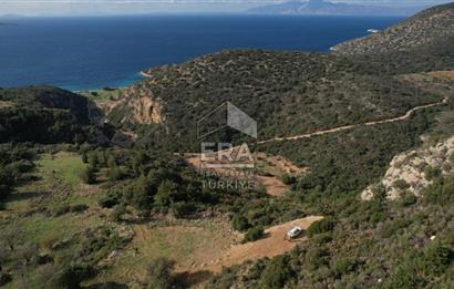 Datça Cumalı'da Kapanmaz Deniz Manzaralı Tarla