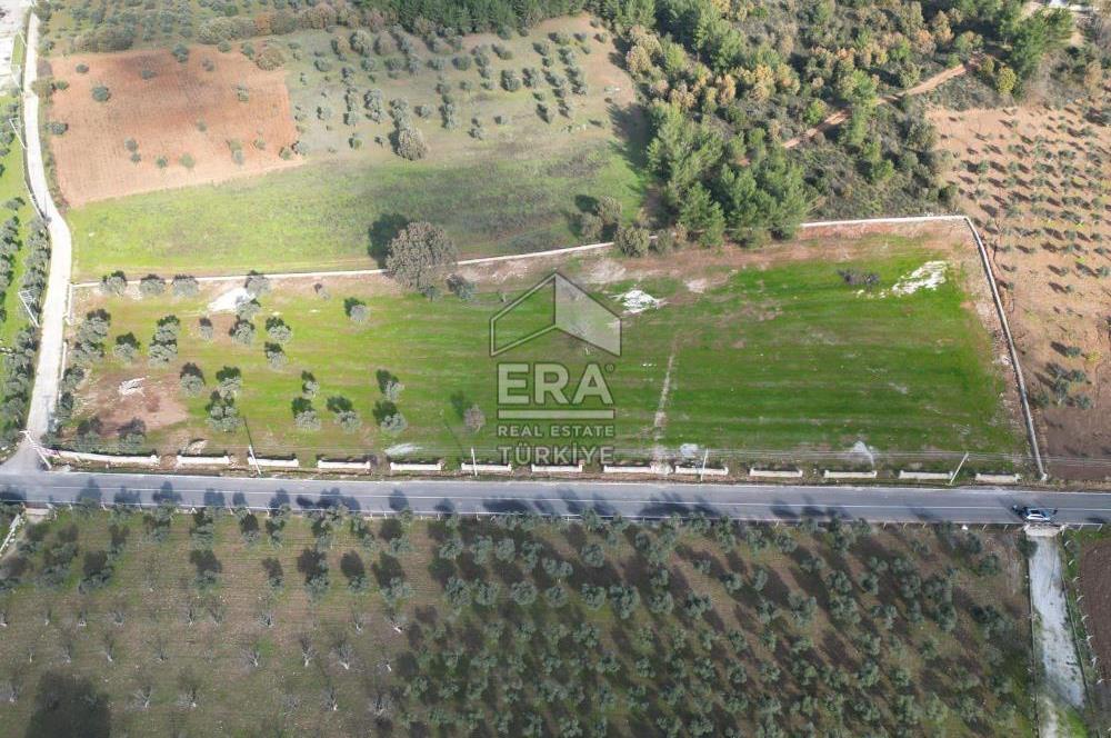 Torbalı Çamlıca Tek Tapu 13.570 m2 Satılık Tarla