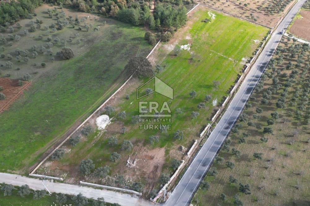 Torbalı Çamlıca Tek Tapu 13.570 m2 Satılık Tarla