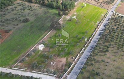 Torbalı Çamlıca Tek Tapu 13.570 m2 Satılık Tarla