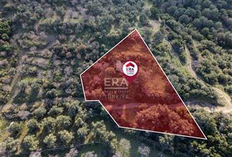 Datça Hızırşahta 2.326,51 m2 Manzaralı Satılık Fırsat Arazi