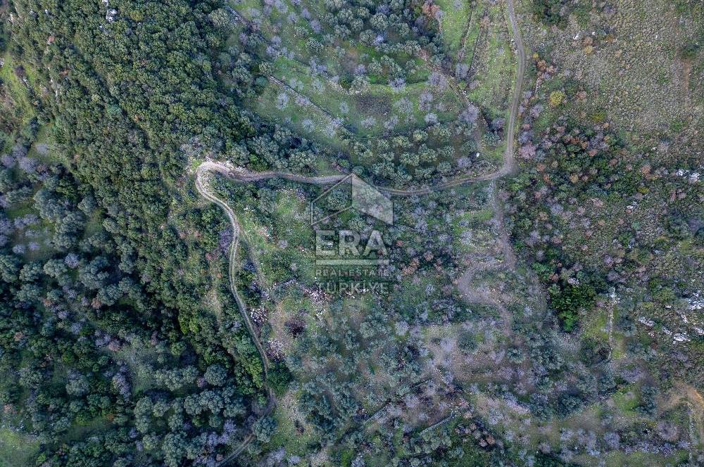 Datça Hızırşahta 2.326,51 m2 Manzaralı Satılık Fırsat Arazi