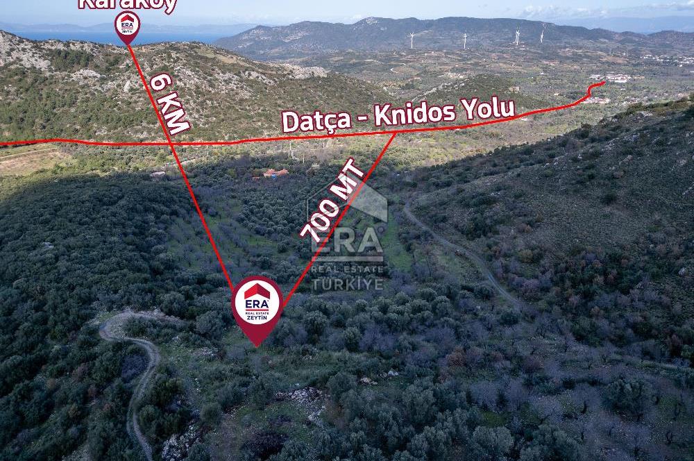 Datça Hızırşahta 2.326,51 m2 Manzaralı Satılık Fırsat Arazi