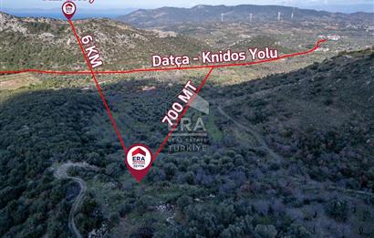 Datça Hızırşahta 2.326,51 m2 Manzaralı Satılık Fırsat Arazi