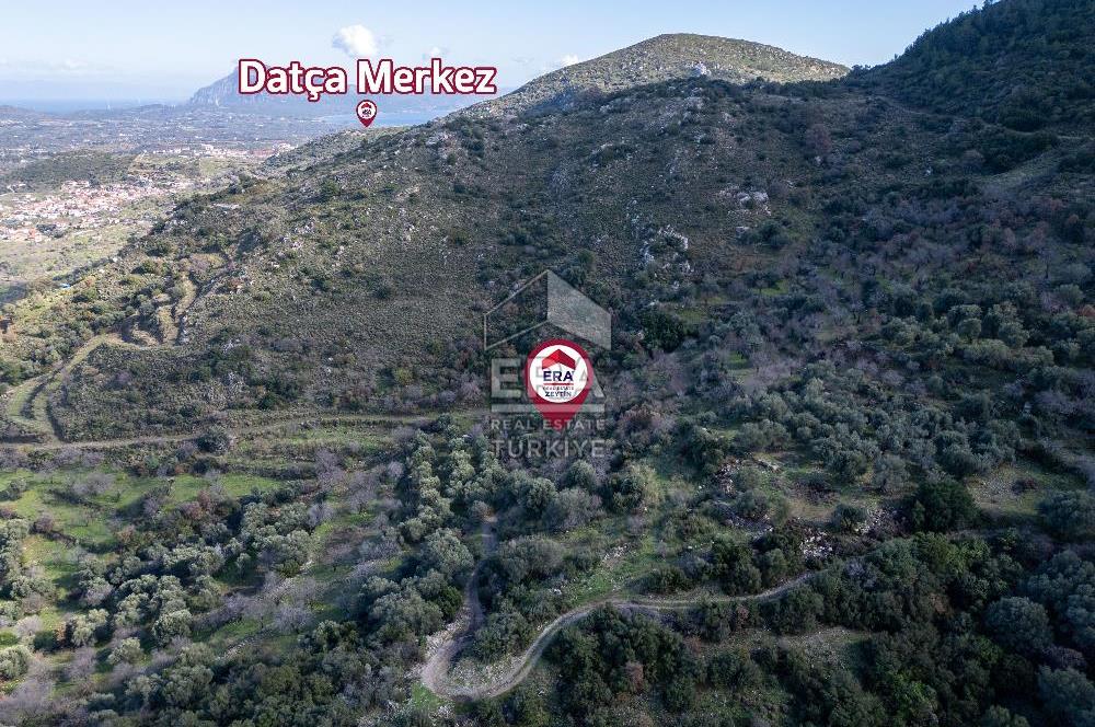 Datça Hızırşahta 1.682m2 Manzaralı Satılık Fırsat Arazi