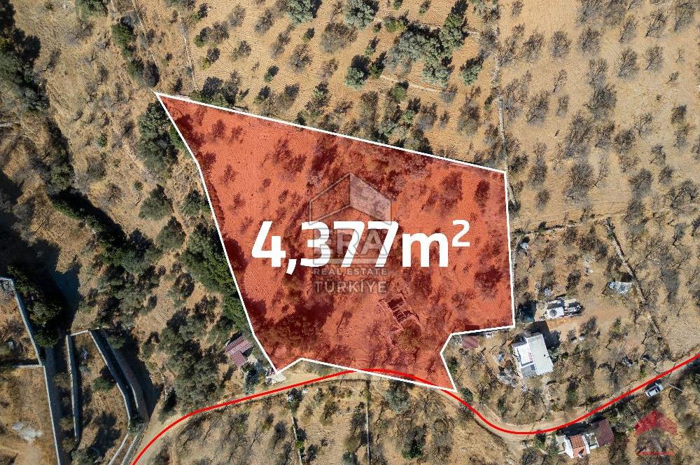 Datça Cumalı Köyünde 4.377m2 Satılık Arsa