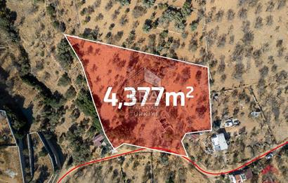 Datça Cumalı Köyünde Satılık 4.377 m² Arsa