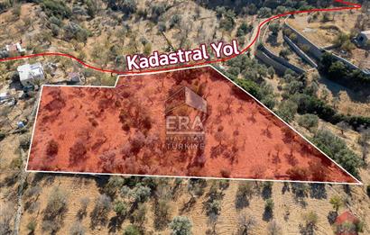 Datça Cumalı Köyünde 4.377m2 Satılık Arsa