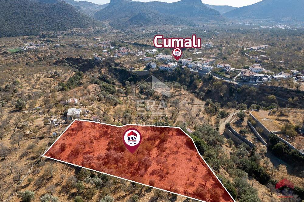 Datça Cumalı Köyünde 4.377m2 Satılık Arsa