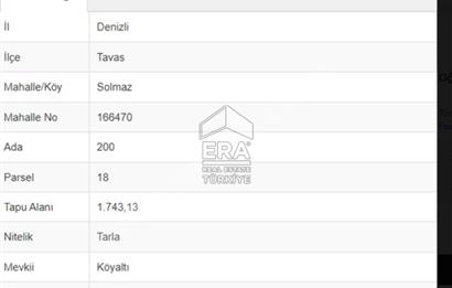 ERA FLY'DAN TAVAS SOLMAZ'DA SATILIK TARLA