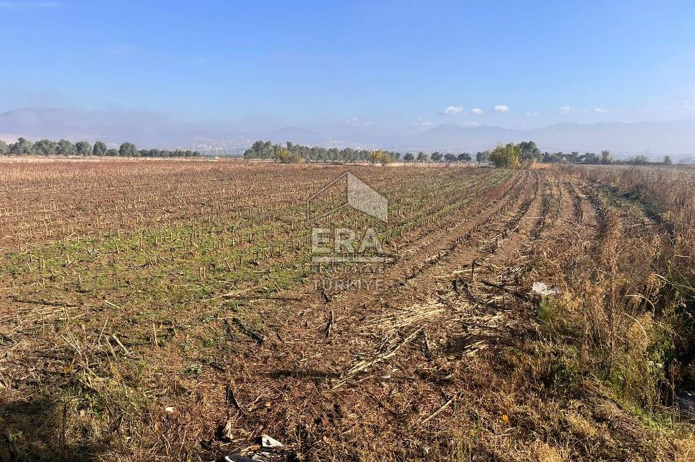 Muğla Yatağan Şahinler'de 5868 m2 Satılık Tarla