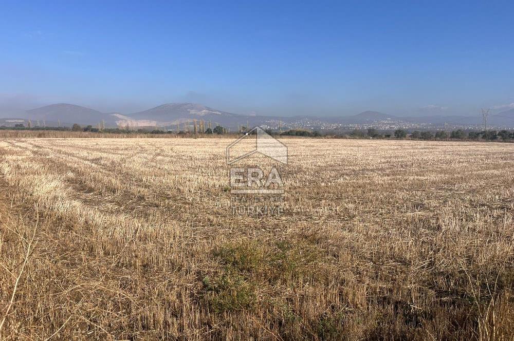 Muğla Yatağan Şahinler'de 18185 m2 Satılık Tarla