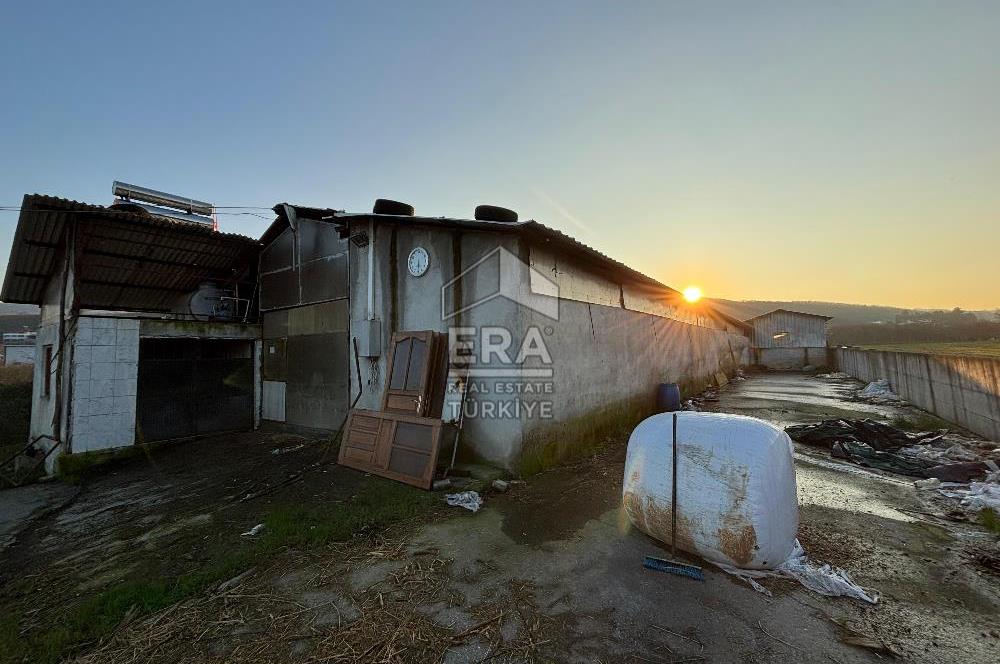 ERA KARAT-Serdivan Uzunköy’de Satılık Modern Çiftlik