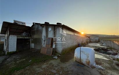 ERA KARAT-Serdivan Uzunköy’de Satılık Modern Çiftlik