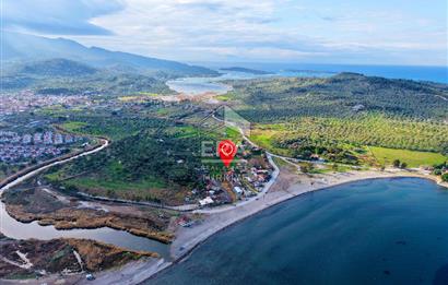 Dikili Bademli Denize Sıfır 16.215 m2 Satılık Tarla