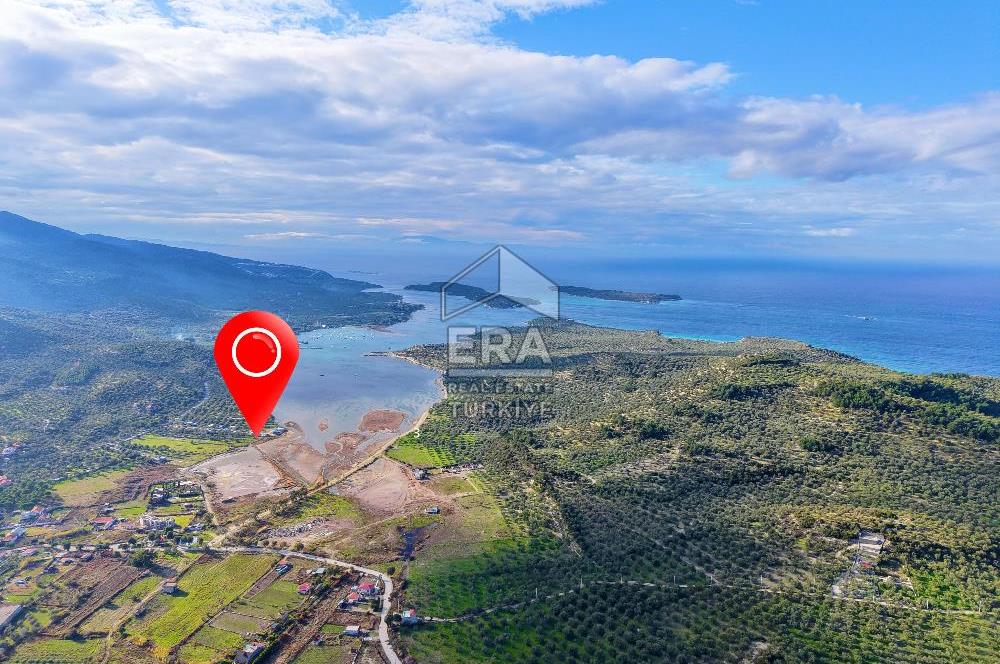 Dikili Bademli Denize Sıfır 16.215 m2 Satılık Tarla