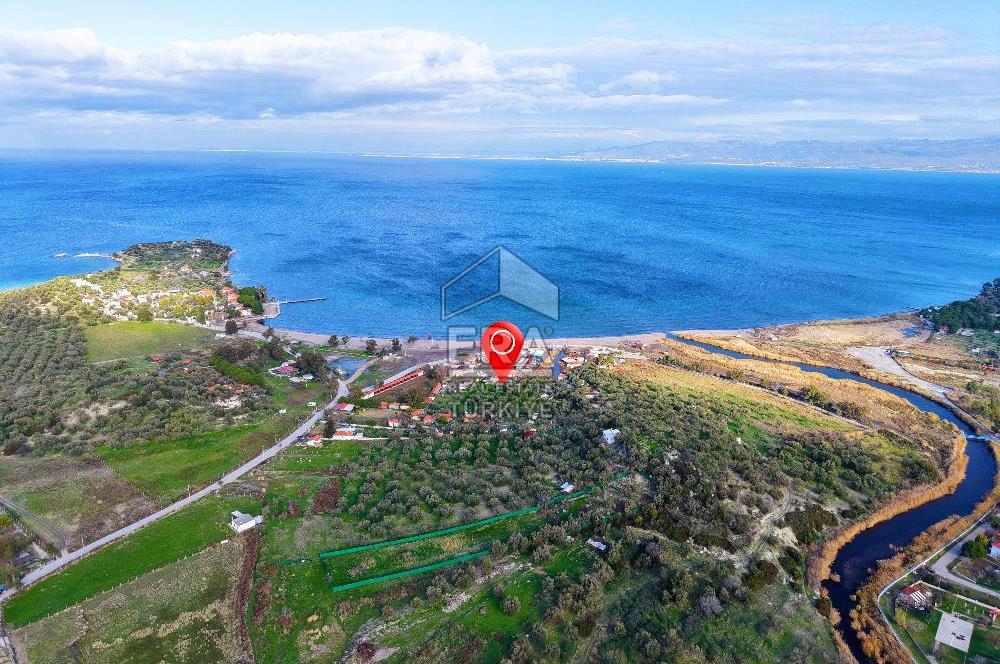 Dikili Bademli Denize Sıfır 16.215 m2 Satılık Tarla