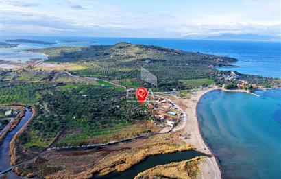 Dikili Bademli Denize Sıfır 16.215 m2 Satılık Tarla