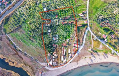 Dikili Bademli Denize Sıfır 16.215 m2 Satılık Tarla