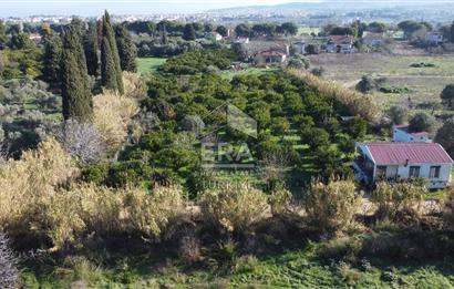 Urla İskele Mahallesinde Ağaçlı Yola 100 m Satılık Tarla ve Ev