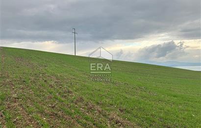 ERA SÖZDEN BALIKESİR BANDIRMA ŞİRİNÇAVUŞ MH SATILIK TARLA