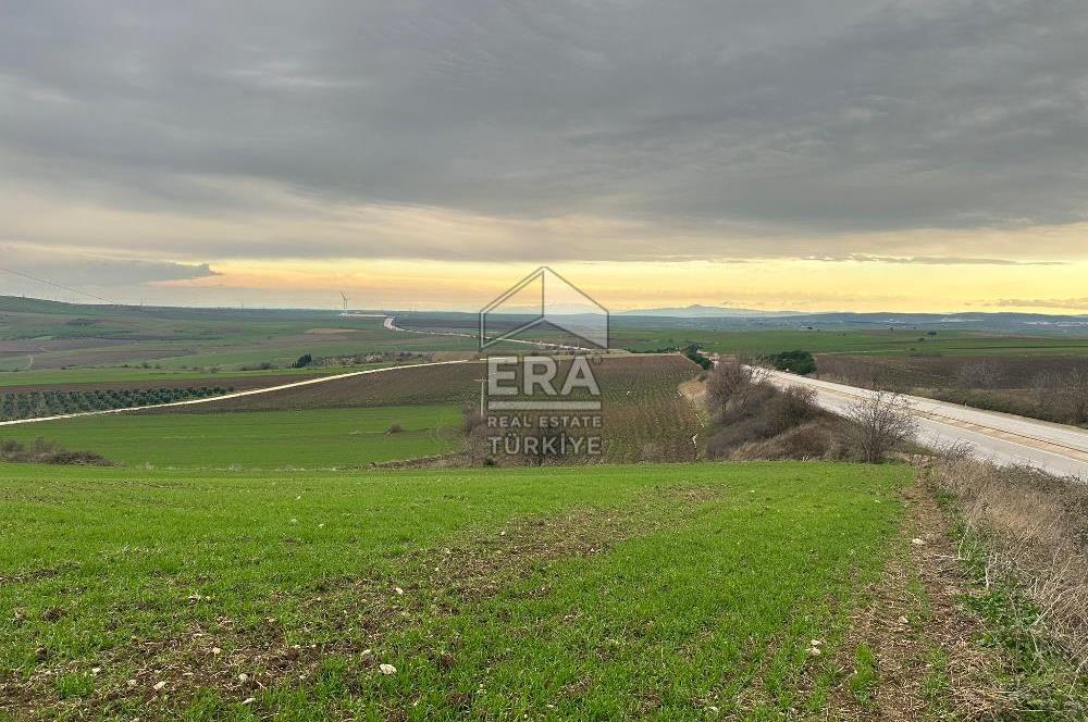 ERA SÖZDEN BALIKESİR BANDIRMA ŞİRİNÇAVUŞ MH SATILIK TARLA