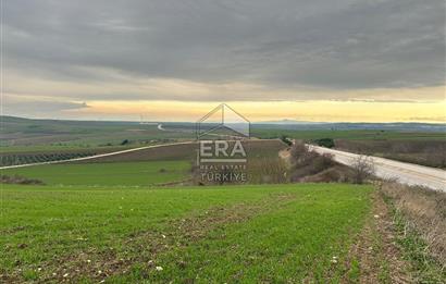 ERA SÖZDEN BALIKESİR BANDIRMA ŞİRİNÇAVUŞ MH SATILIK TARLA