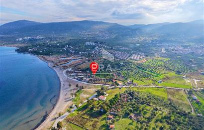 Dikili Bademli Denize Sıfır 16.215 m2 Satılık Tarla