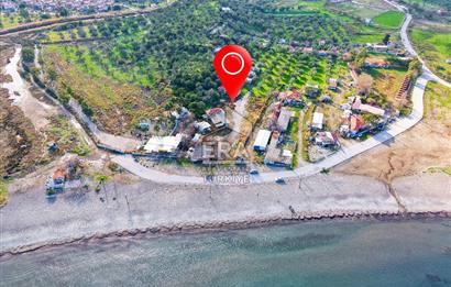 Dikili Bademli Denize Sıfır 16.215 m2 Satılık Tarla