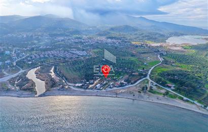 Dikili Bademli Denize Sıfır 16.215 m2 Satılık Tarla