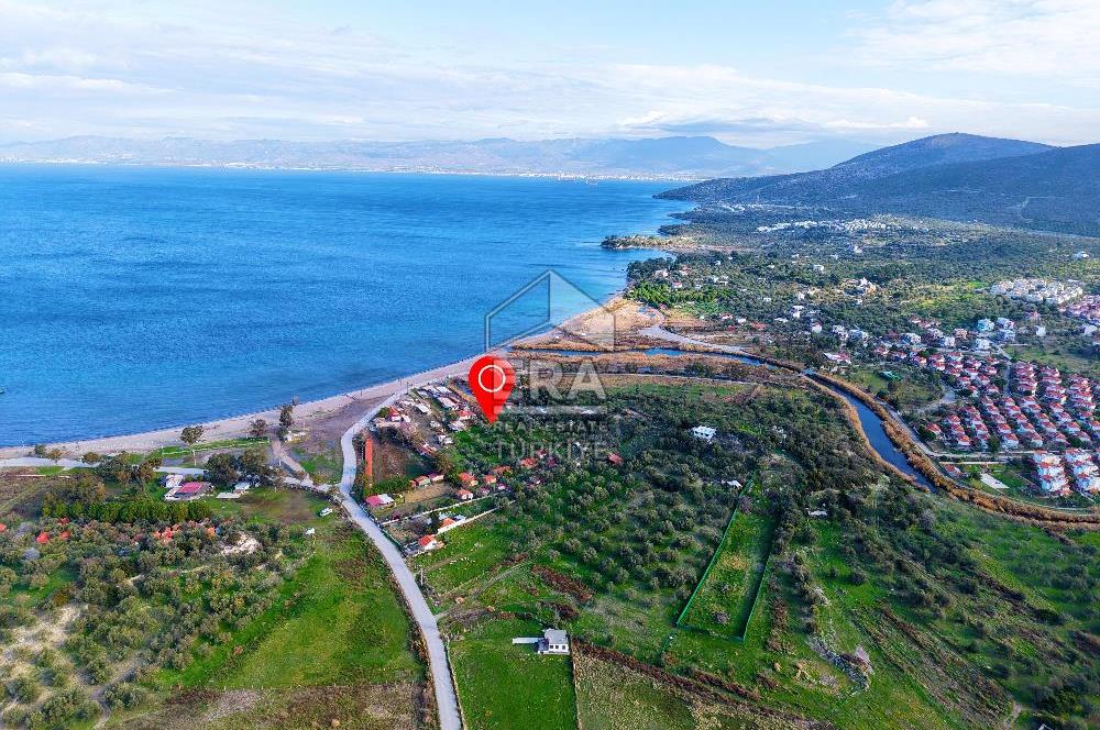 Dikili Bademli Denize Sıfır 16.215 m2 Satılık Tarla