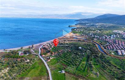 Dikili Bademli Denize Sıfır 16.215 m2 Satılık Tarla